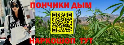 индика Можга