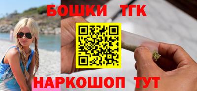 индика Можга