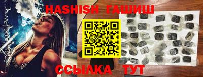 индика Можга