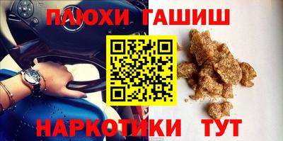 индика Можга