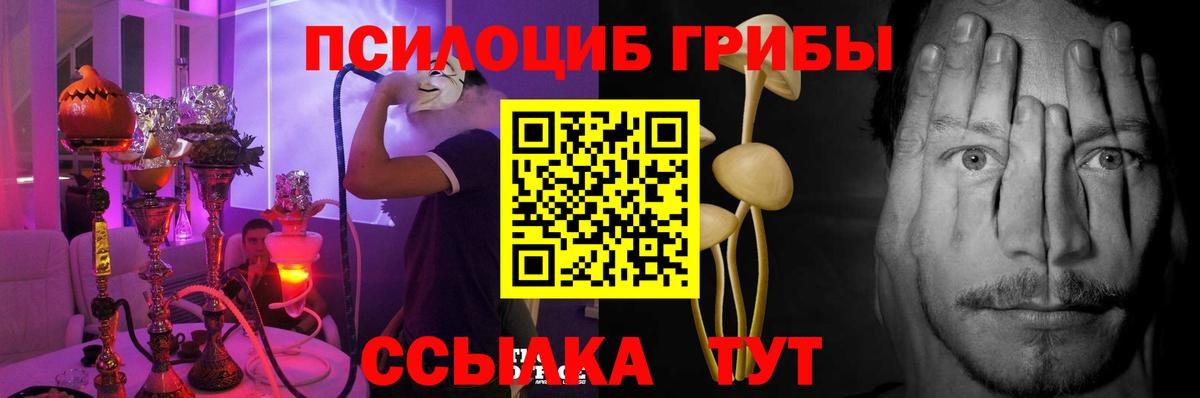 Галлюциногенные грибы Magic Shrooms  Псилоцибиновые грибы Cubensis  продажа наркотиков  Сургут  Вход с VPN 